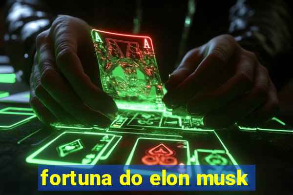 fortuna do elon musk