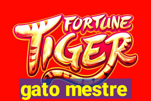 gato mestre