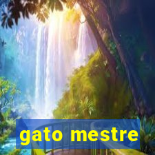 gato mestre