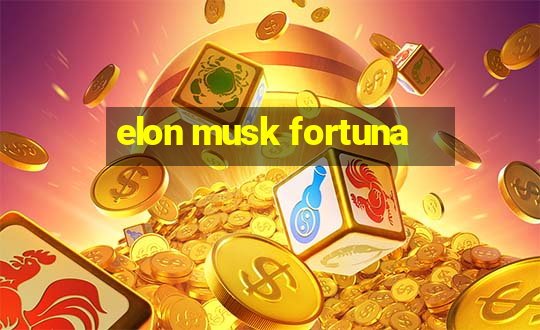 elon musk fortuna