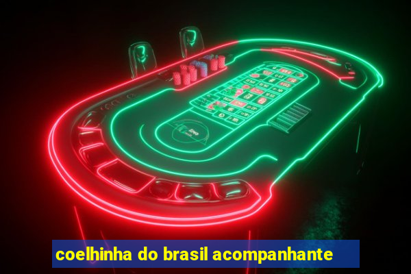 coelhinha do brasil acompanhante