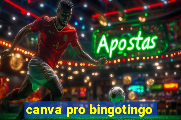 canva pro bingotingo