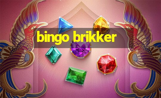 bingo brikker