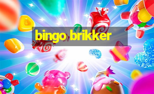 bingo brikker