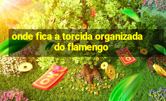 onde fica a torcida organizada do flamengo