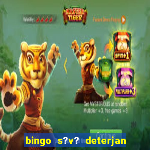 bingo s?v? deterjan 4 lt