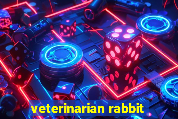 veterinarian rabbit