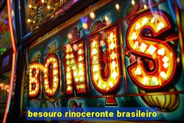 besouro rinoceronte brasileiro