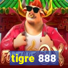 tigre 888