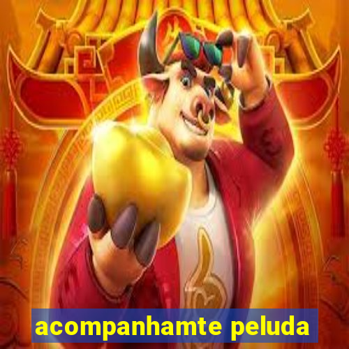 acompanhamte peluda