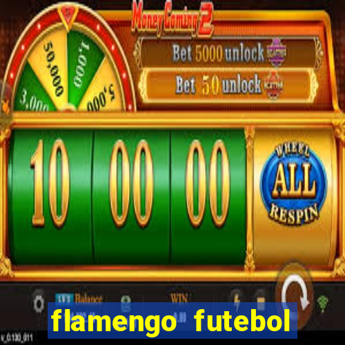 flamengo futebol play hd