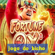 jogo do bicho aposta certa