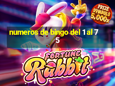 numeros de bingo del 1 al 75