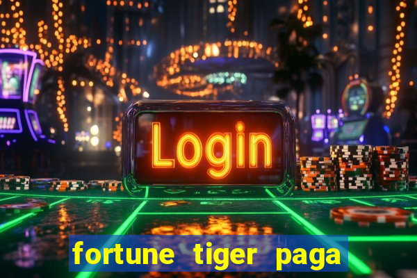 fortune tiger paga que horas