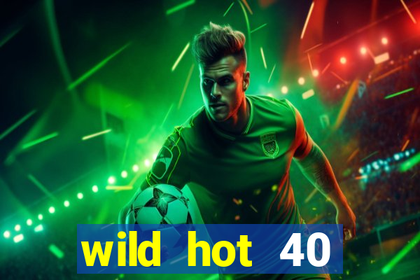 wild hot 40 christmas slot