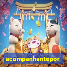 acompanhanteportovelho