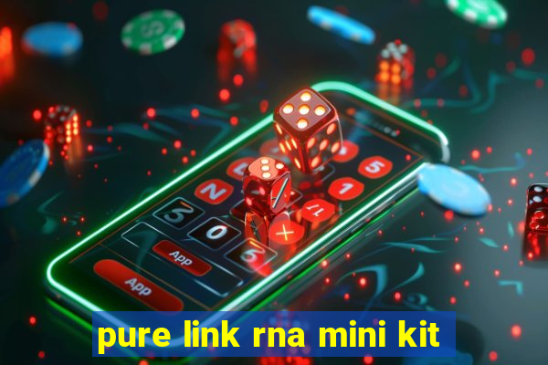 pure link rna mini kit