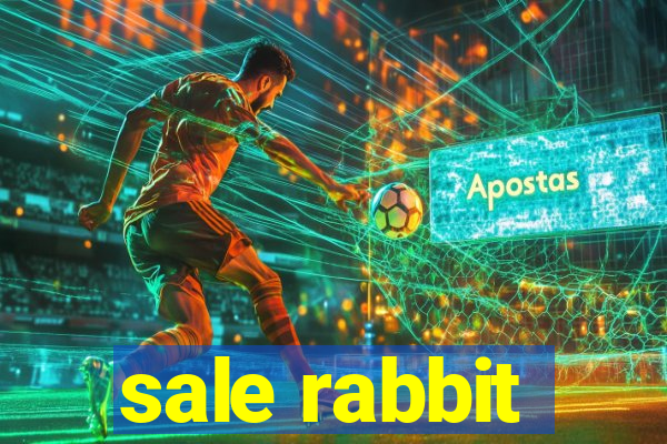 sale rabbit