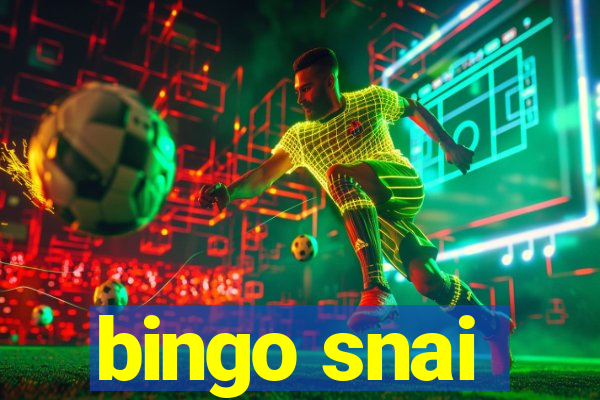 bingo snai