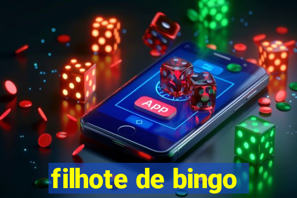 filhote de bingo