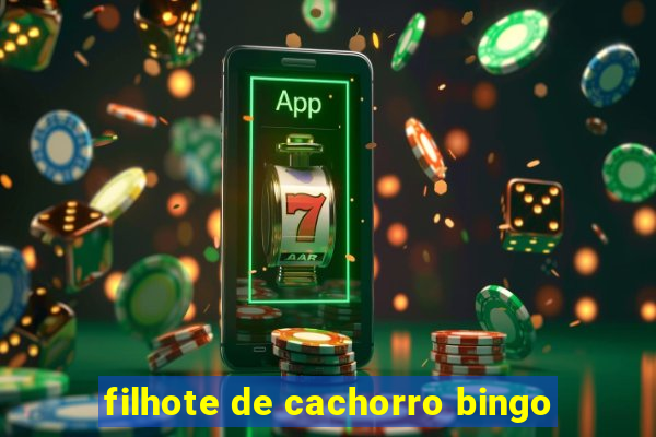 filhote de cachorro bingo