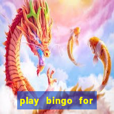 play bingo for free win real money