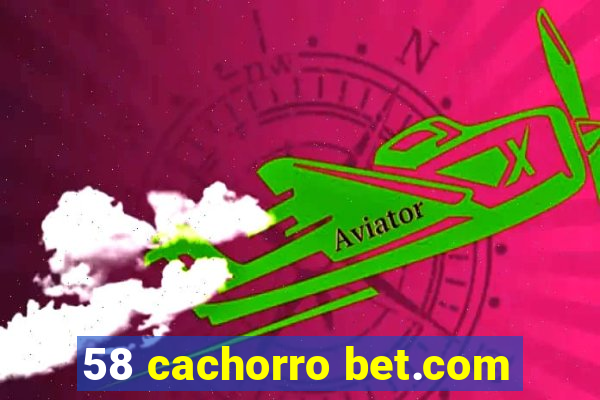 58 cachorro bet.com