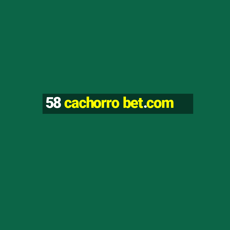 58 cachorro bet.com