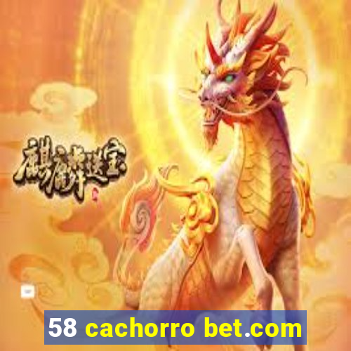 58 cachorro bet.com