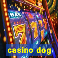 casino dog