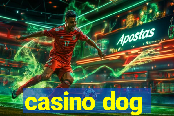 casino dog