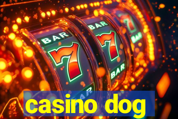 casino dog