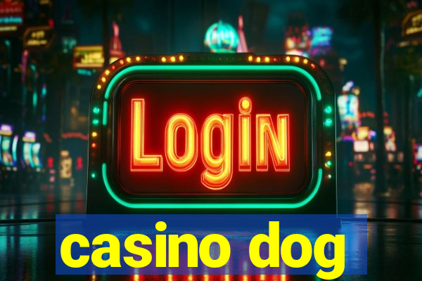 casino dog