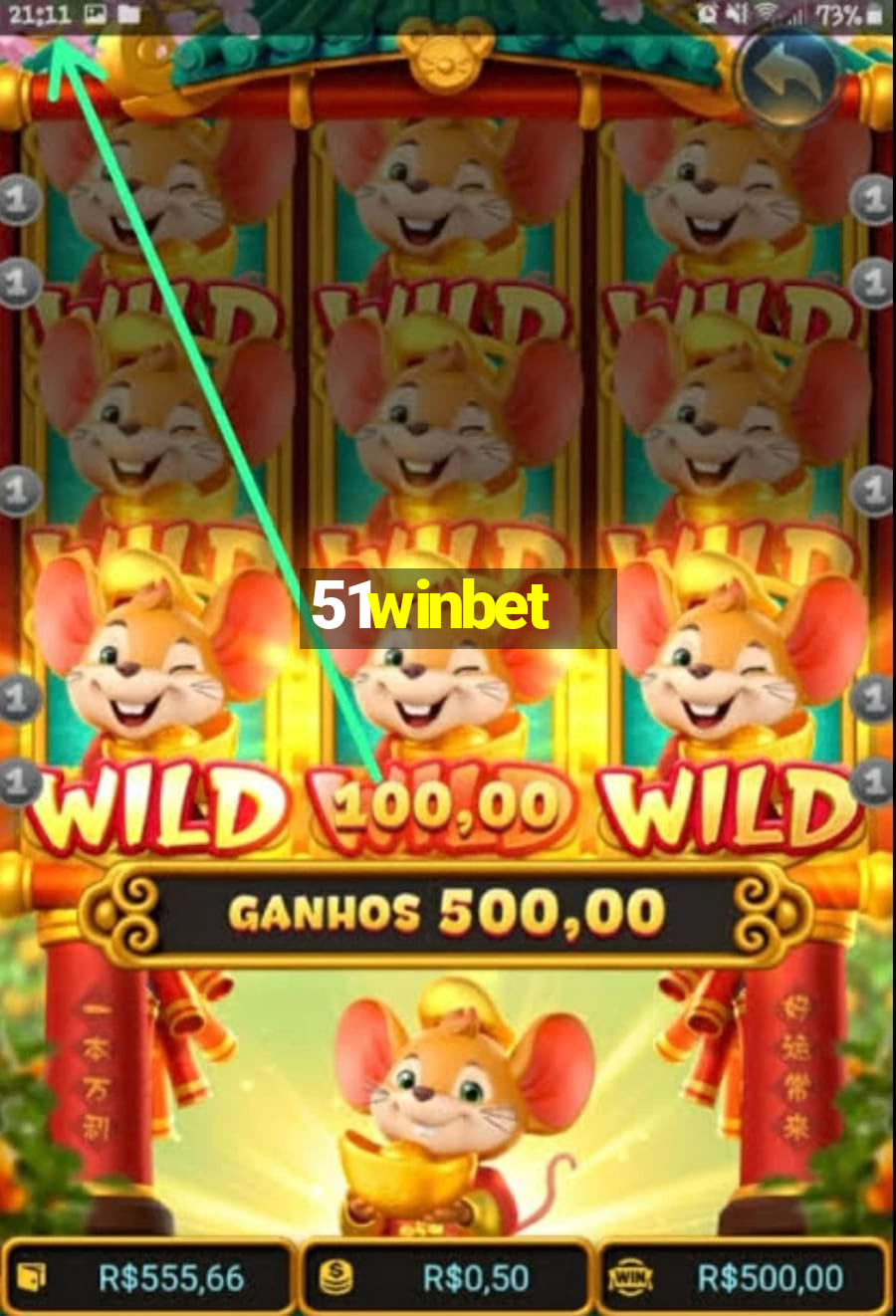 51winbet