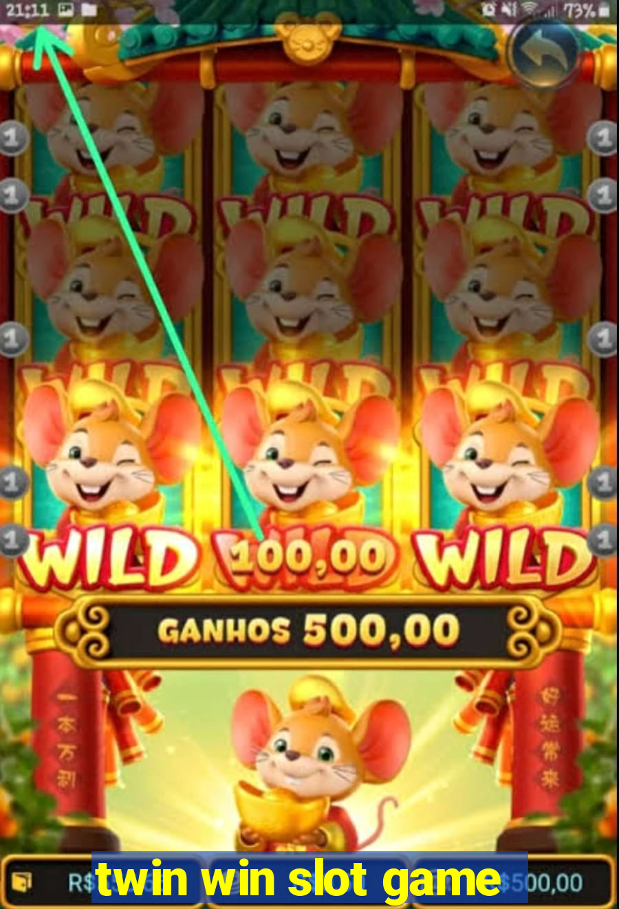 twin win slot game