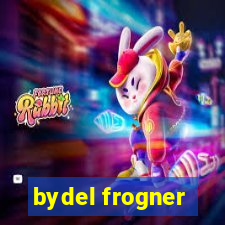 bydel frogner