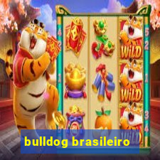 bulldog brasileiro