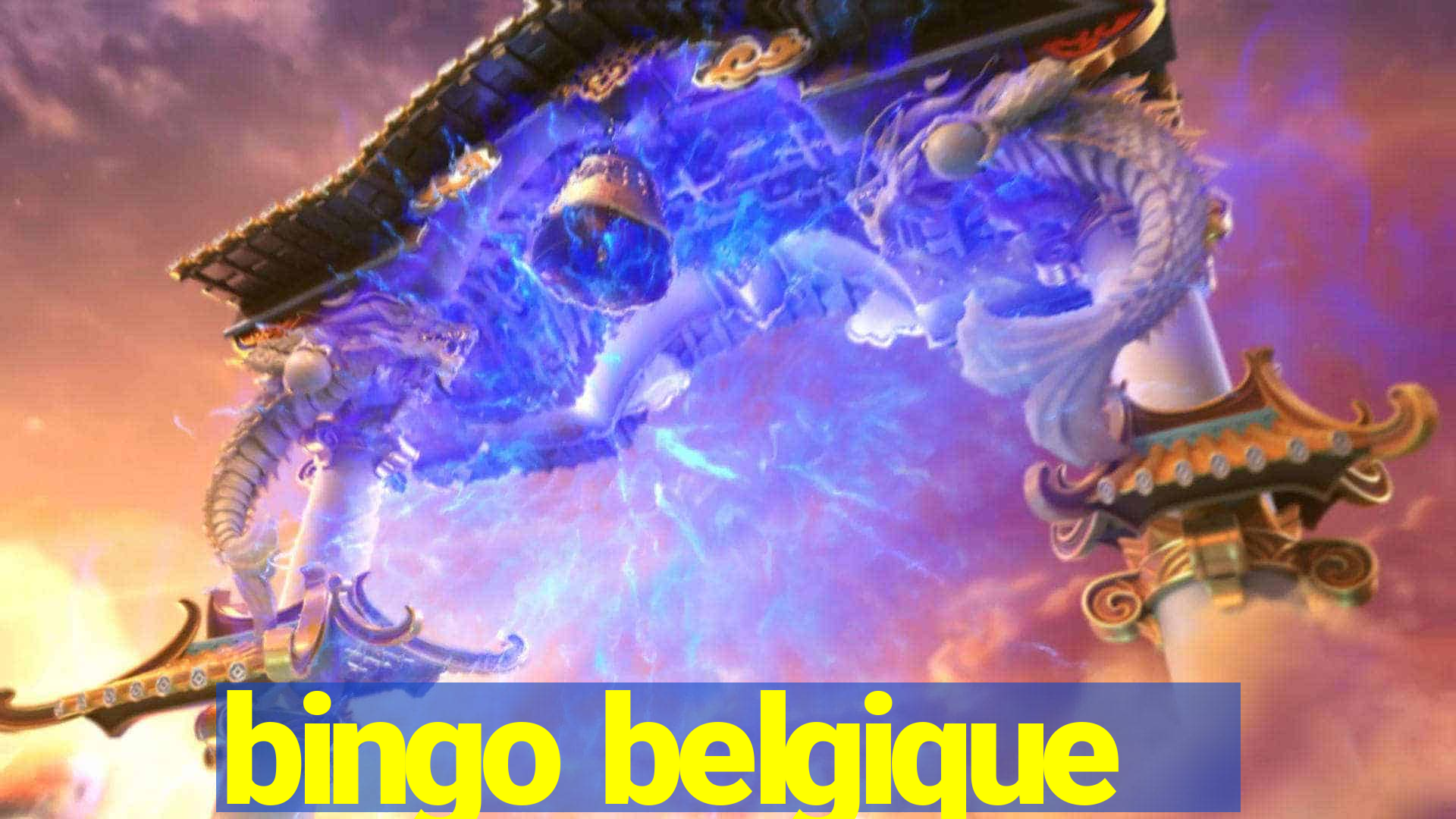 bingo belgique