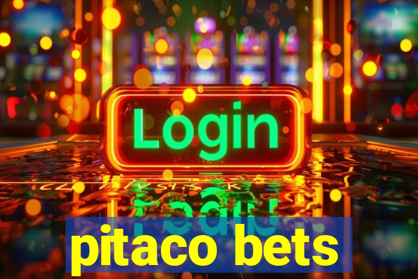 pitaco bets