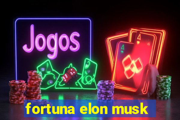 fortuna elon musk