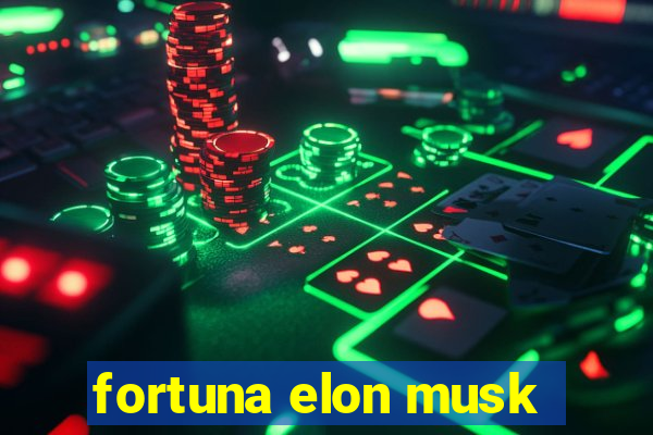 fortuna elon musk