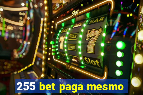 255 bet paga mesmo