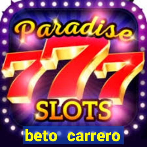 beto carrero cidades proximas