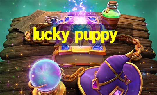 lucky puppy