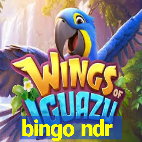 bingo ndr