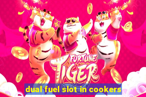 dual fuel slot in cookers