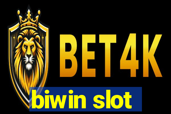 biwin slot