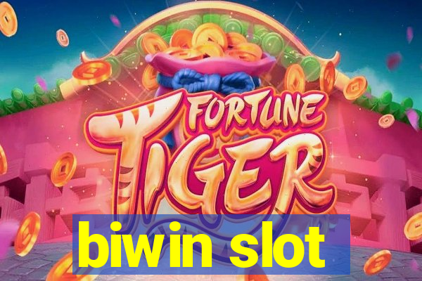 biwin slot