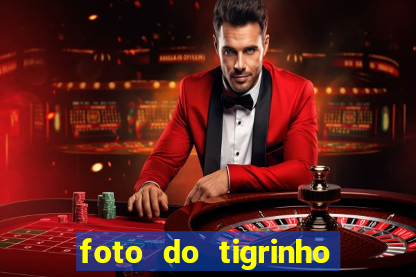 foto do tigrinho do jogo