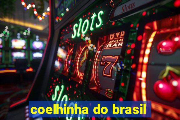 coelhinha do brasil